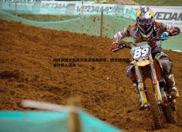 意昂体育-阿森纳提出新报价追逐瑞典前锋，转会谈判因差价陷入僵局