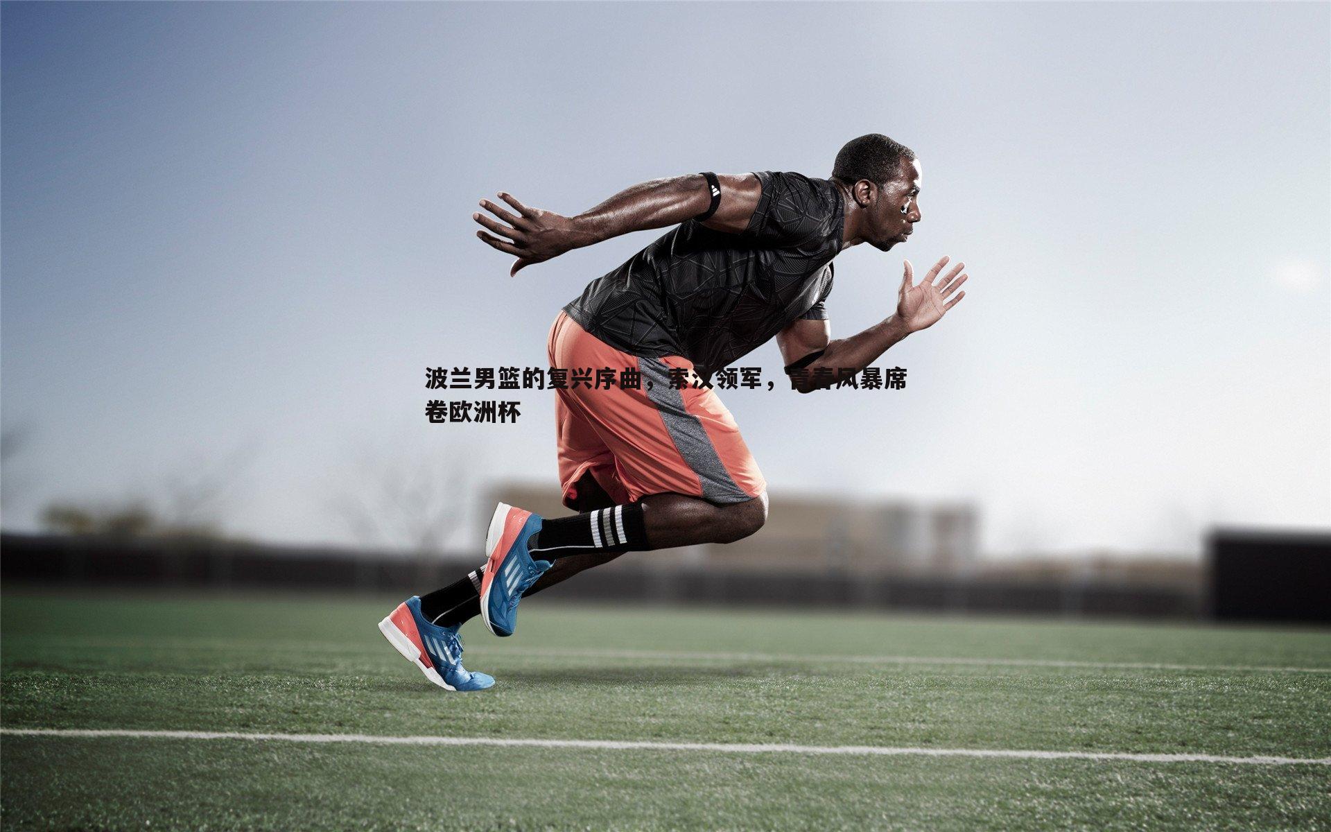 波兰男篮的复兴序曲,索汉领军,青春风暴席卷欧洲杯