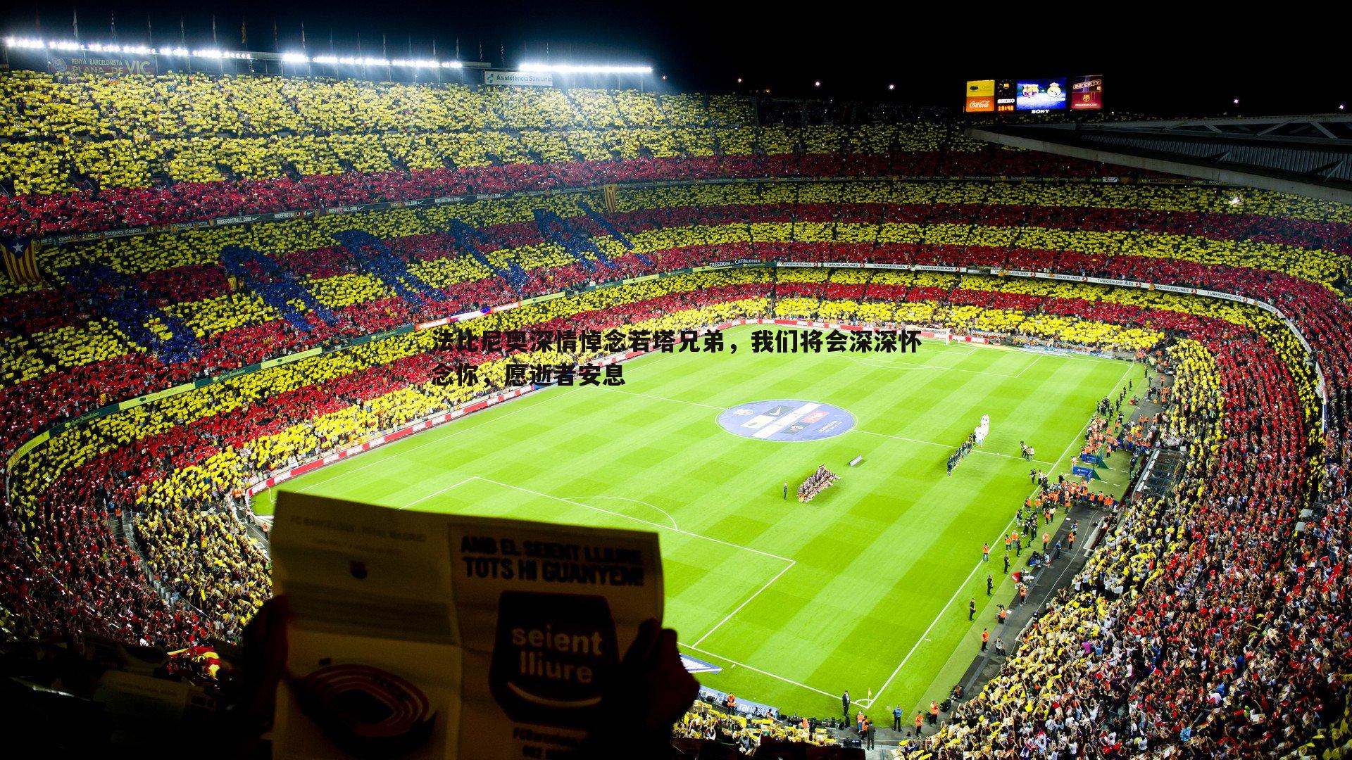 法比尼奥深情悼念若塔兄弟,我们将会深深怀念你,愿逝者安息